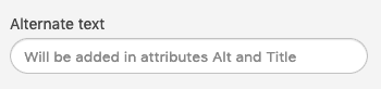 Adding Alt Text to Images