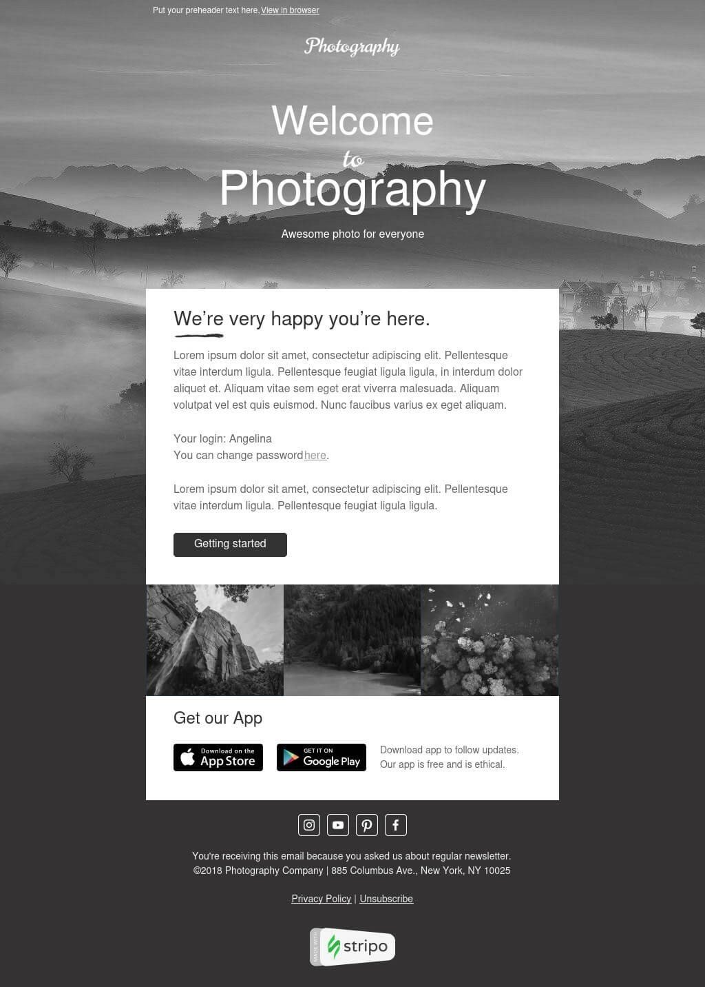 Black and White Email Built with Stripo
