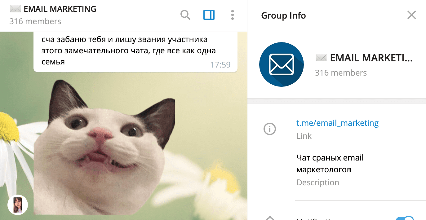 EMAIL MARKETING_Telegram-Канал