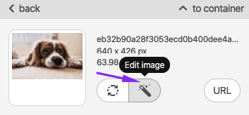 Entering Photo Editor