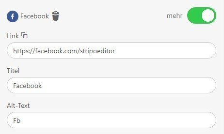 Stripo-Adding-Alt-Text-and-Links-to-Social-Media-Icons_GE
