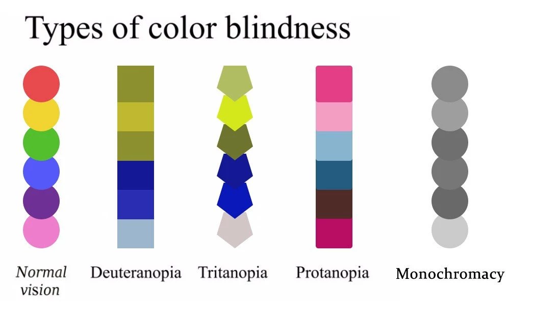 Palette with colors _ The way color blind people see different colors