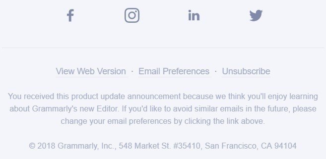 Stripo-Footer-Email-Preferences