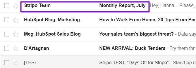 Stripo-Internal-Newsletters-Monthly-Report