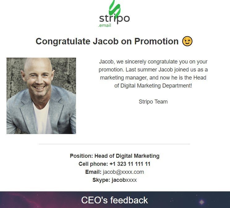 Stripo-Internal-Newsletters-Promotion