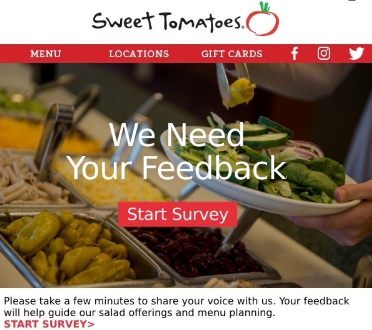 Stripo-Restaurant-Surveys