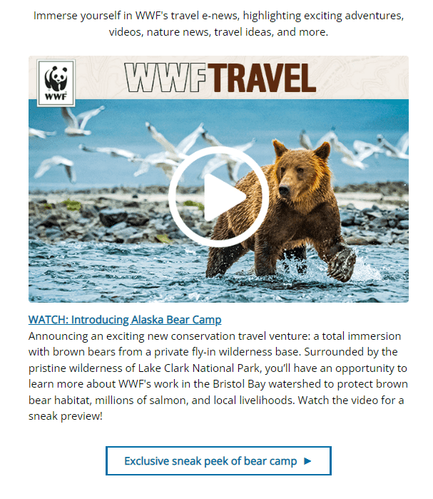 WWF-Пояснення-Пошта-Благодійність