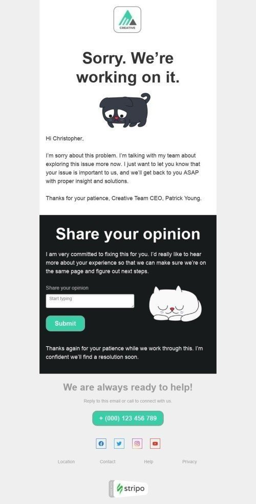 Apology Email Template "We’re working on it" for Design industry mobile view