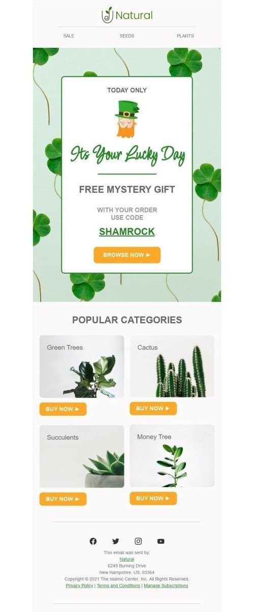 St. Patrick’s Day Email Template "Free mystery gift" for Furniture, Interior & DIY industry mobile view